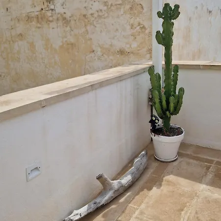 Casa Mignano ガリポリ