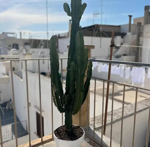 Casa Mignano Lejlighed Gallipoli